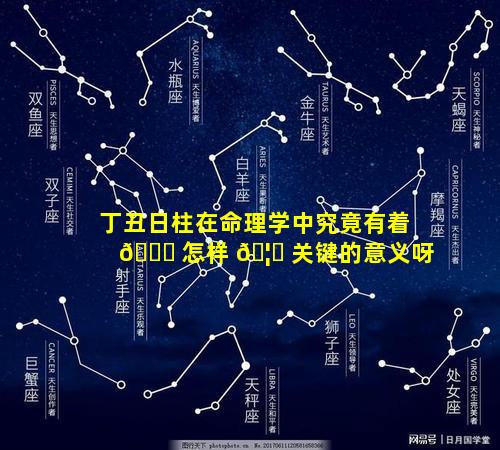 丁丑日柱在命理学中究竟有着 🐟 怎样 🦅 关键的意义呀